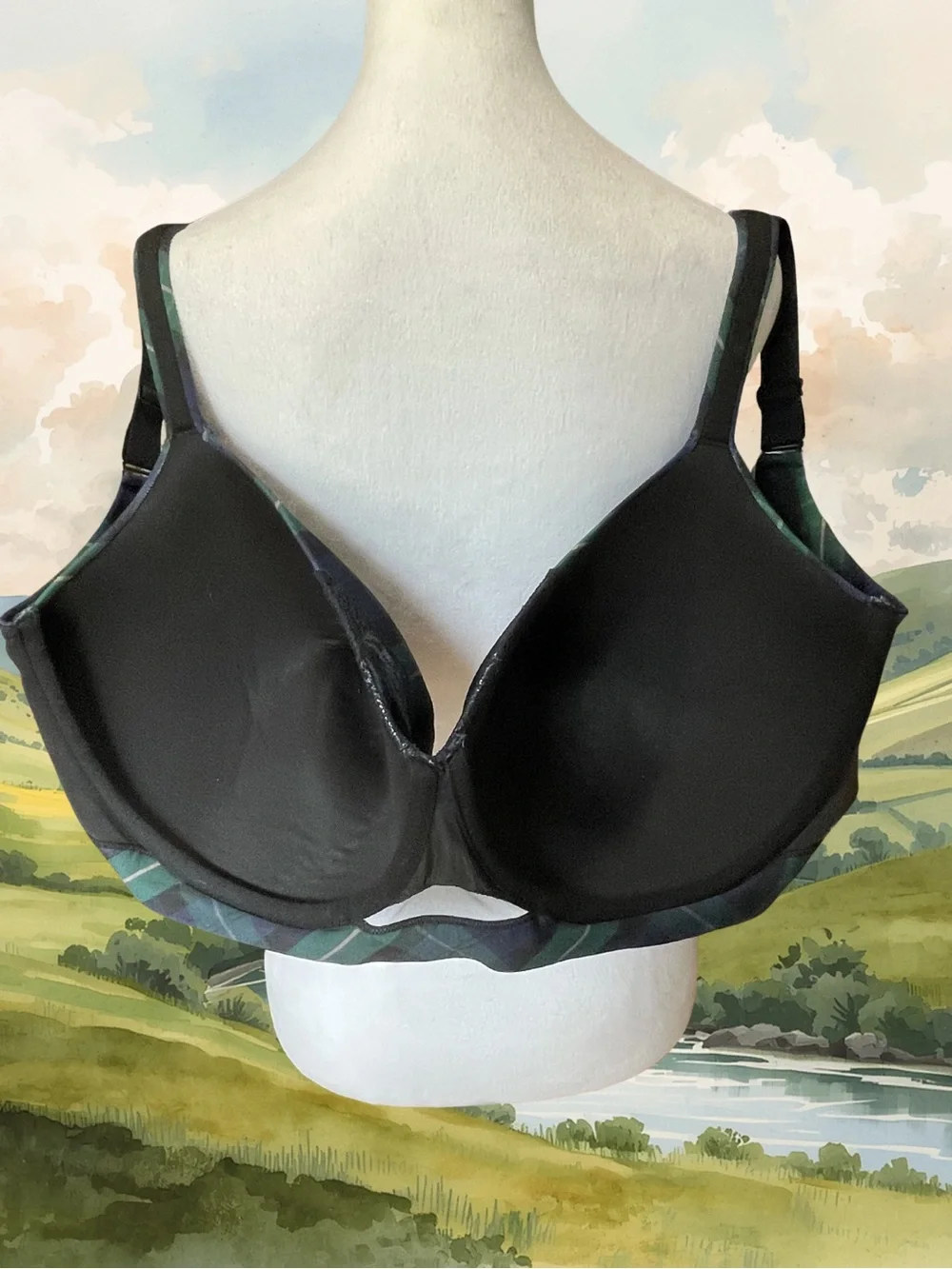 CACIQUE Women's 40I NWOT Lightly Lined Balconette Bra Plaid Tartan Lace Green - Picture 5 of 10